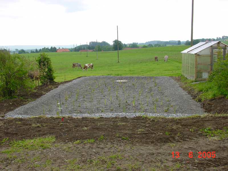 pflanzenbeet_big.jpg pflanzenbeet_big.jpg